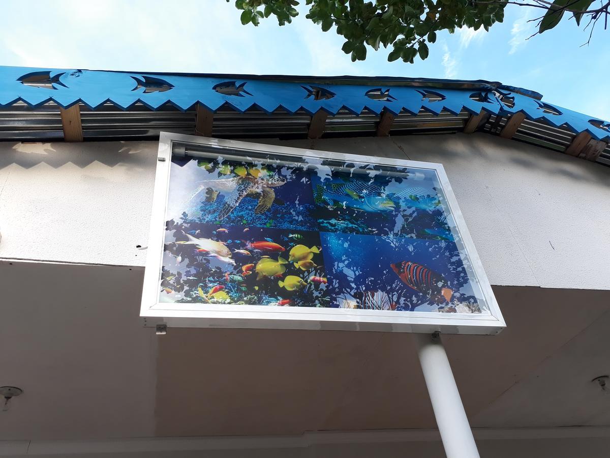 Posada Miss Portia South West Bay Exterior foto